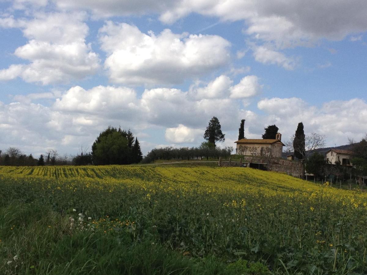 Villa Gli Ulivi D'Argento Assisi Exterior foto